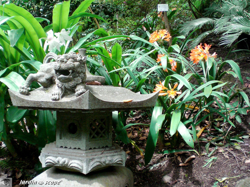 8691-lanterne-chinoise