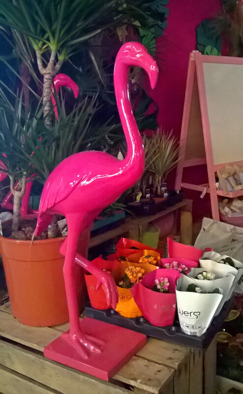 flamants-roses
