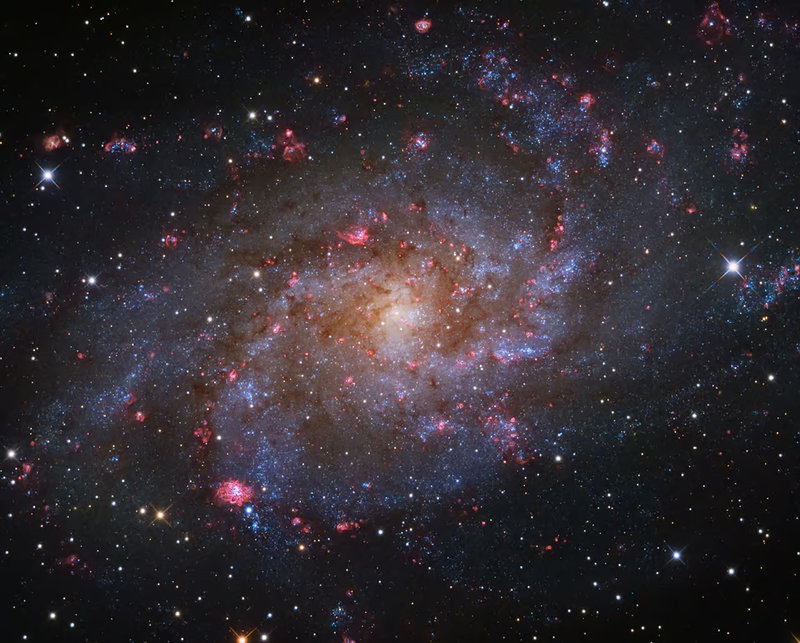 G-80633-1_M33 The Triangulum Galaxy Rui Liao