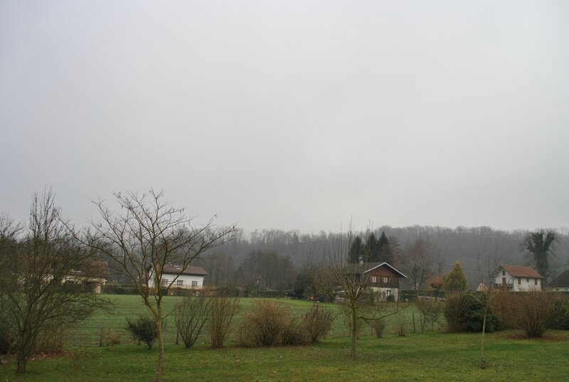 DSC_0004