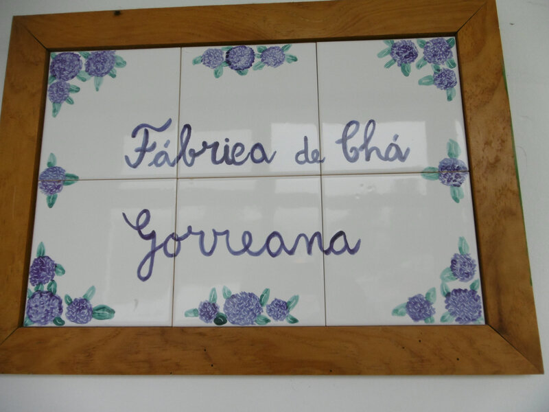 fabrique de thé Gorreana (1)
