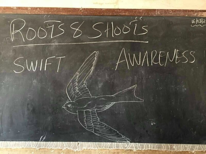 Swift Awareness