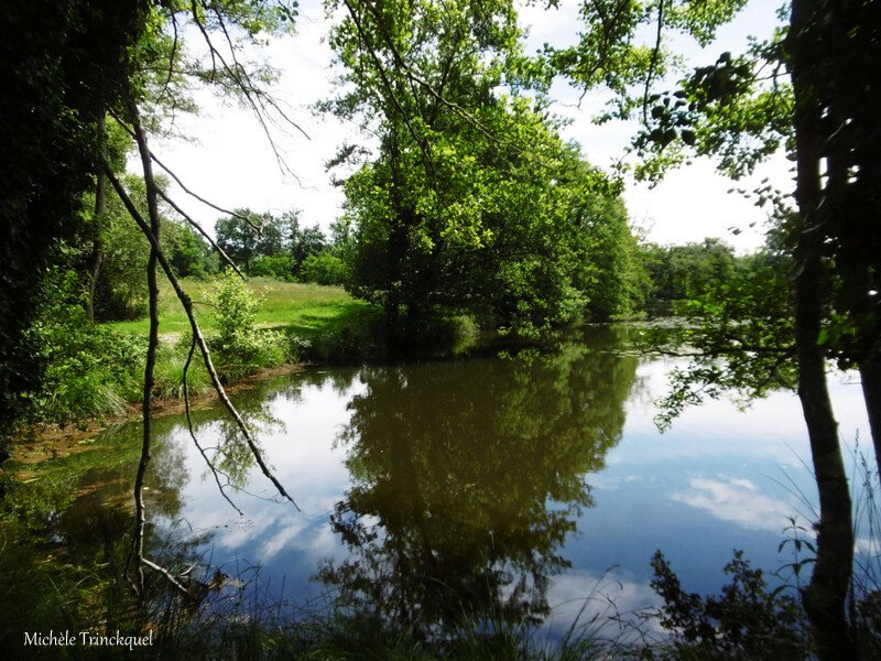 Etang de la Glacière 080618