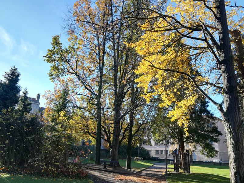 Jardin des plantes, 24 nov 2018 (5)