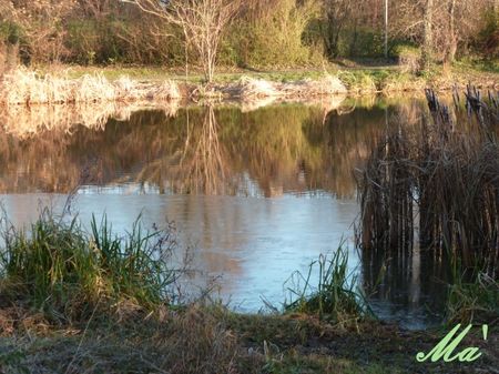 etang_101225_2