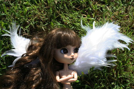 pullip_ala_ange_angel