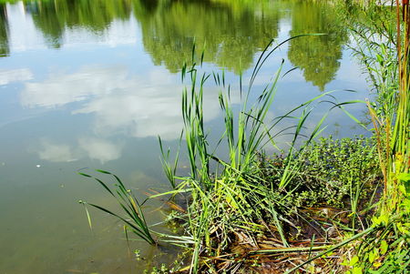 ILE_de_France__Marne_la_Valee__Belle_France__Guy_Peinturier__Le_Vairois__03