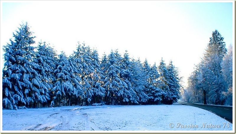 Vallée de Chevreuse (29)