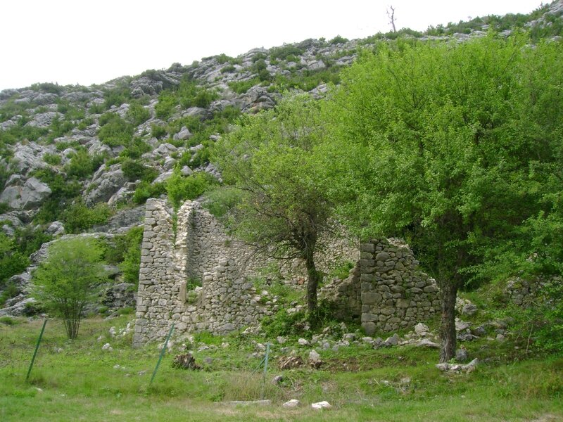 DSC06138