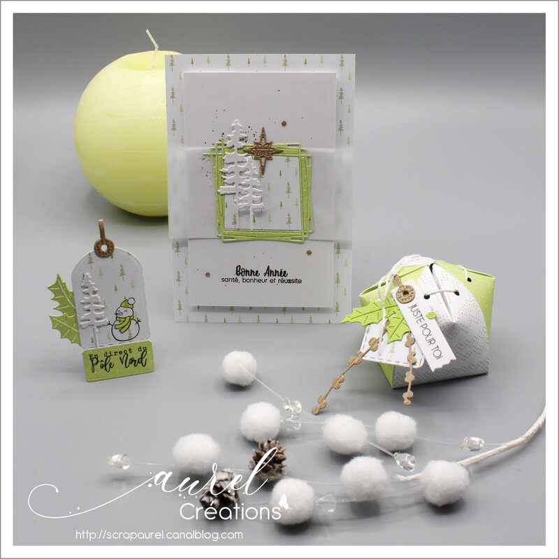 020120 - Super invitation à créer Noël 4 enscrap #1