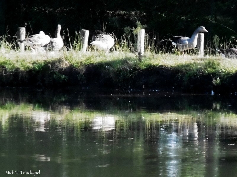 Etang d'Ous Pins et Eglise Lesgor 110918