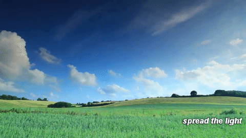 nature gif rusty