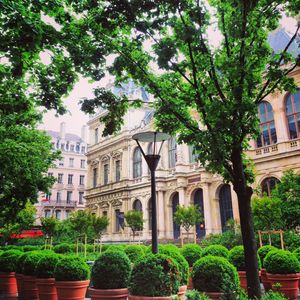 Place_de_la_Bourse