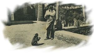 ruisseau_des_singes_2