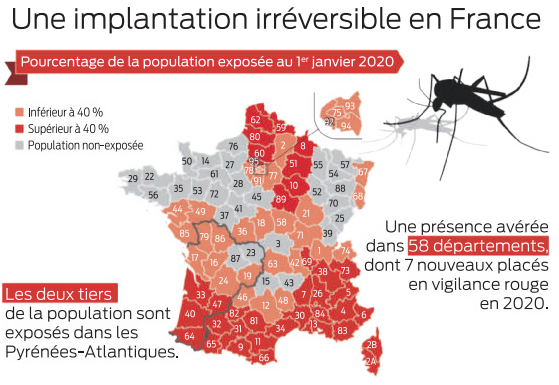 2020 06 13 moustique
