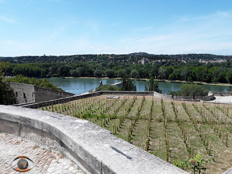 Jardin du Rocher des Doms 4