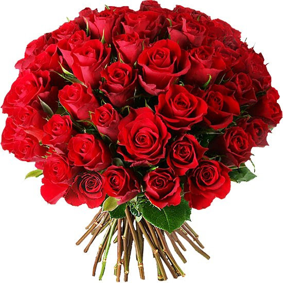 Roses rouges bouquet