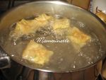 Raviolis_wontons_aux_st_Jacques__crevettes_et_ciboule_014