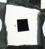 184_Noir et blanc_Vasarely noir et blanc (10)-001