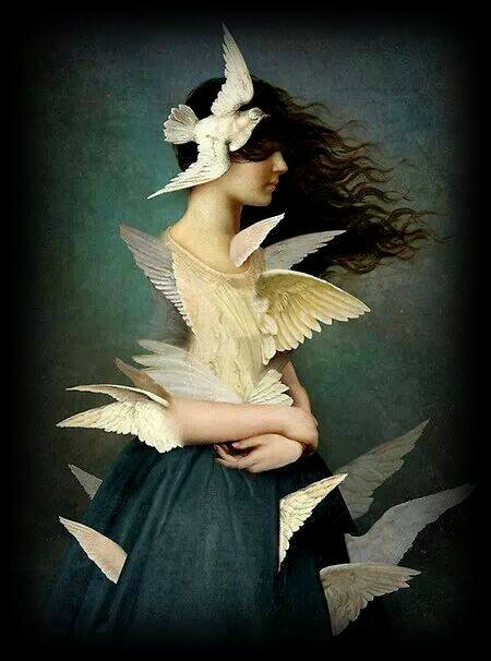christian shloe2