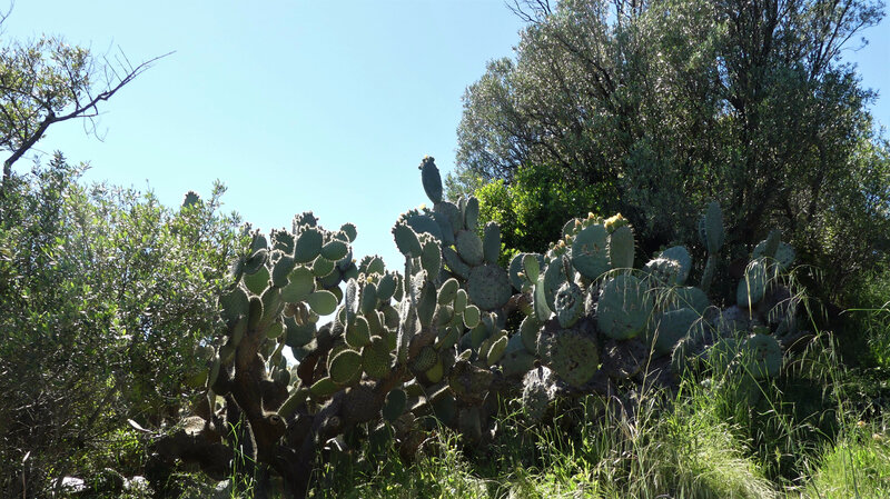 P1020233 (2)