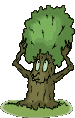 Un_arbre