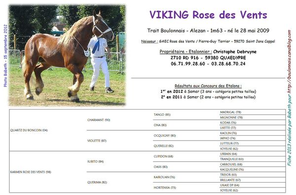 Viking_Rose_des_Vents