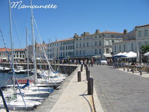 Ile_de_R__jeudi_11_juin_2009_012