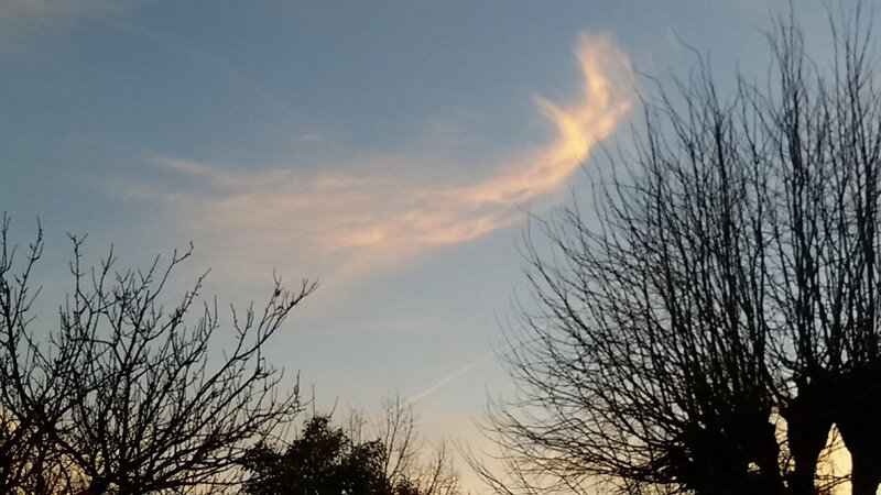 20190208_181525