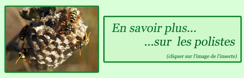 01_En savoir plus sur