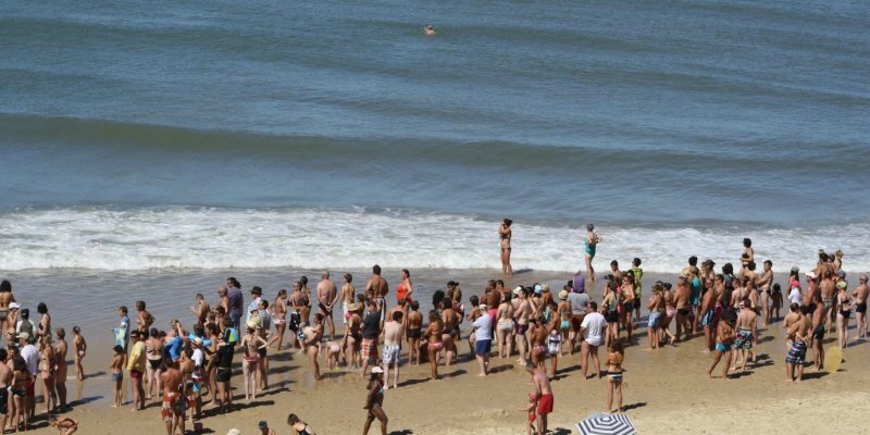 Un code de bonne conduite pour préserver la forêt et les plages