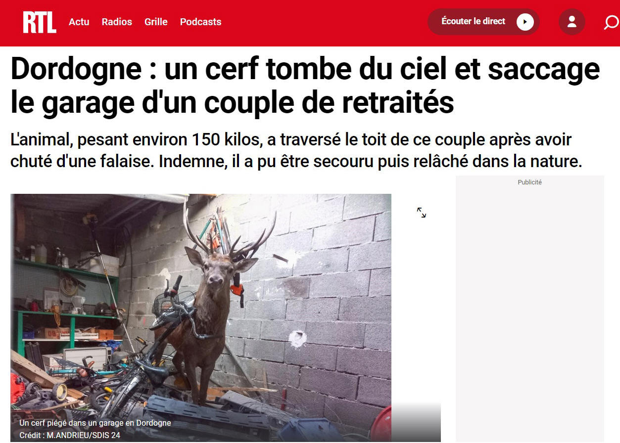 Tombé du ciel