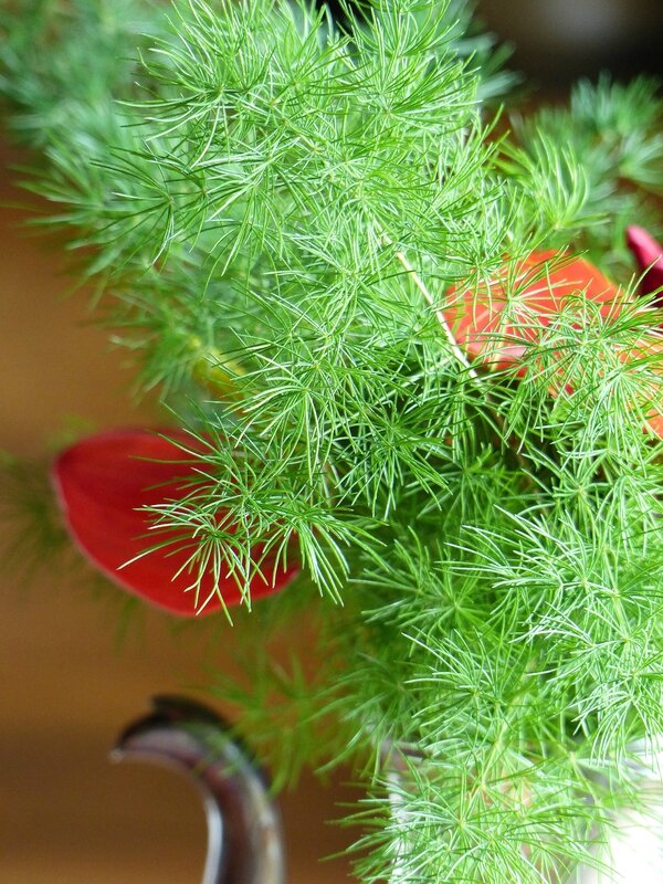 les fleurs chez moi (58)