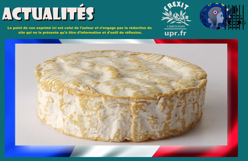 ACT CAMEMBERT