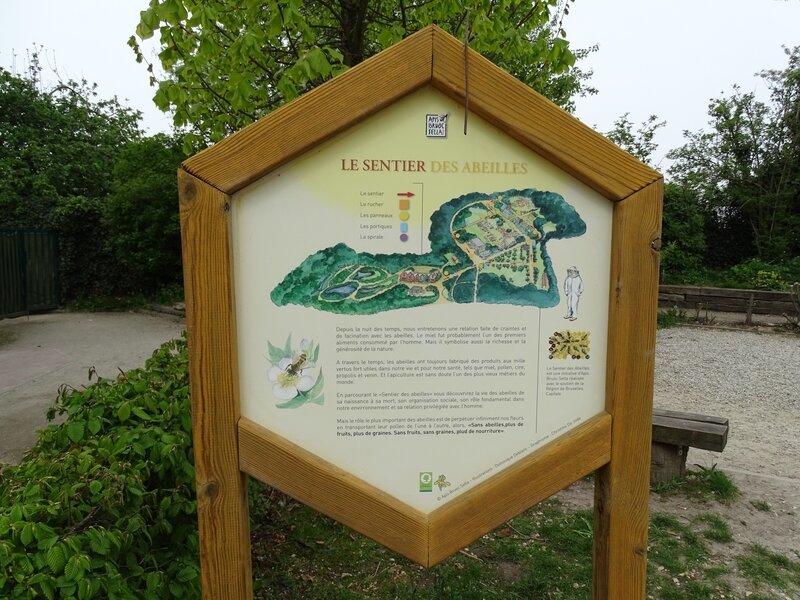 DSC02084