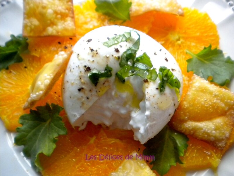 Burrata sur carpaccio d’oranges et croustillants de pâtes frites 4