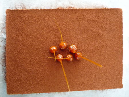 Entremets aux deux chocolats en duo... recettes Entremets aux deux chocolats en duo...