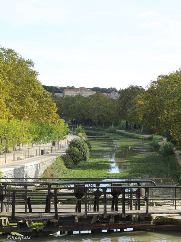 Photos JMP©Koufra12 - Canal du midi- 24092018 - 0182