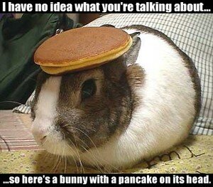 pancake_bunny