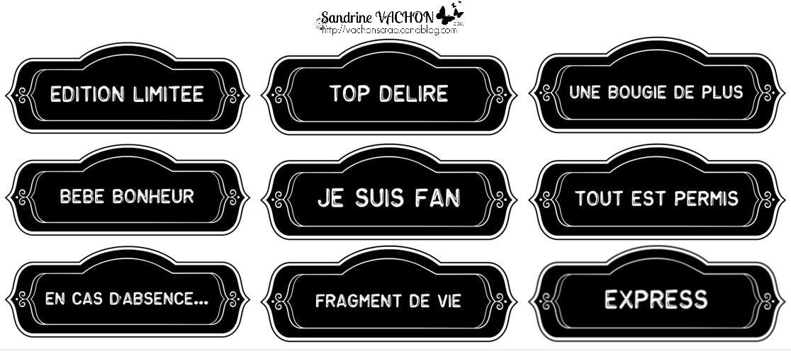 Sandrine VACHON planche 27