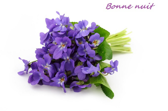 b n amour bouquet d violettesBPat22