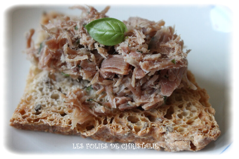 Rillettes de canard 6