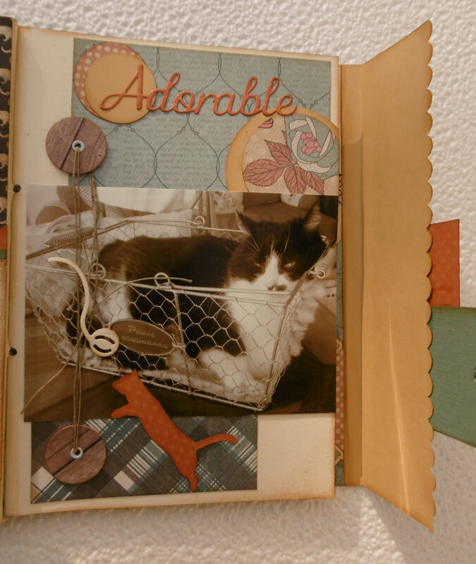 album chat 028