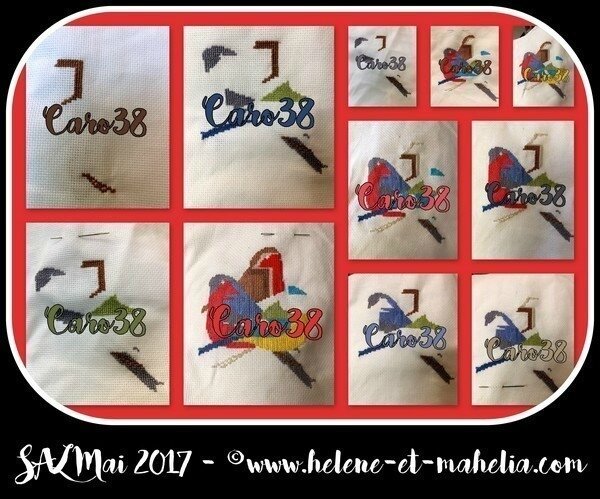 caro38_salmai17_col3