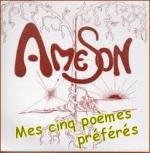 AMESON