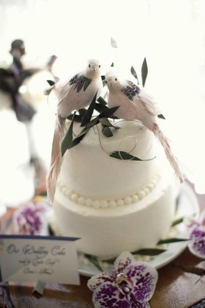 cake oiseaux