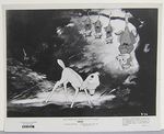 bambi_photo_presse_1957_03