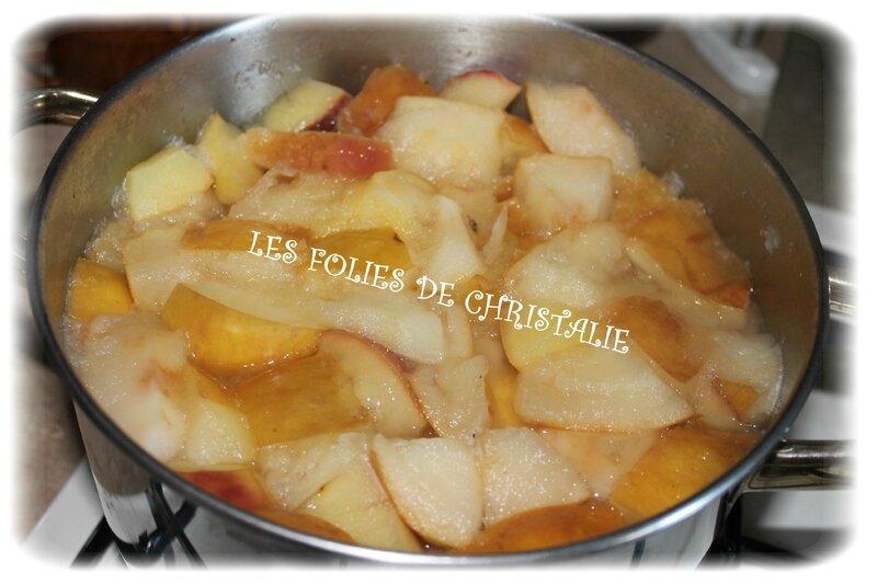 Gelée de pommes 3