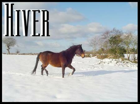article_hiver