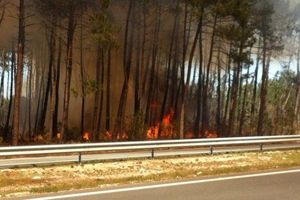 Incendie de brousaille sur le bassin d'arcachon